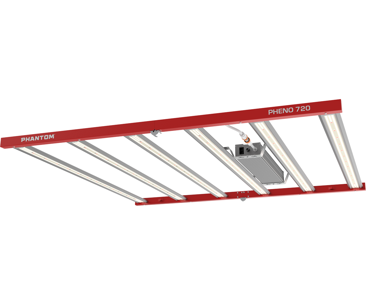 Phantom Pheno - Right